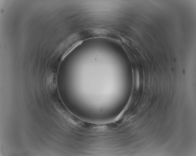 X0000063520428200601201438