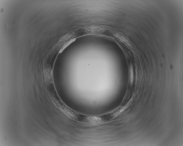 X0000063520429200601201438