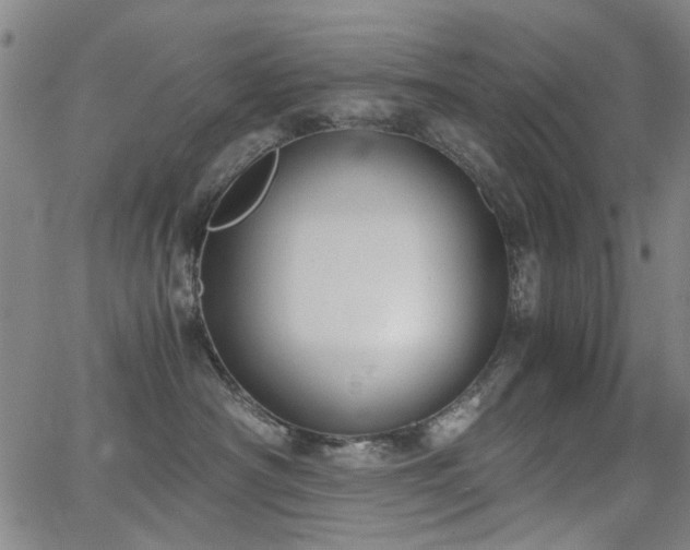 X0000063520430200601201438