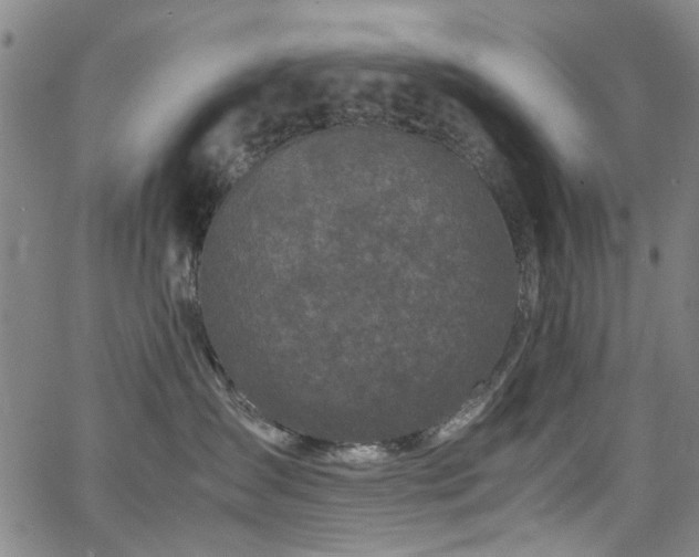 X0000063520431200601201438