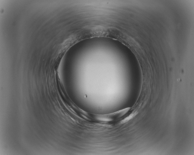 X0000063520432200601201437