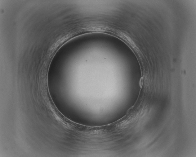 X0000063520433200601201437