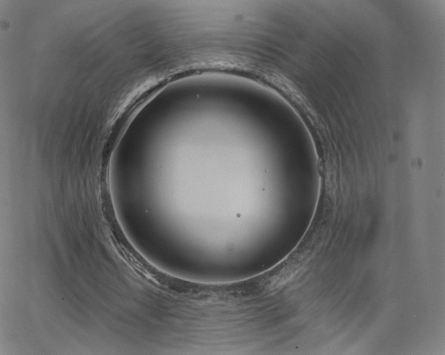 X0000063520434200601201437