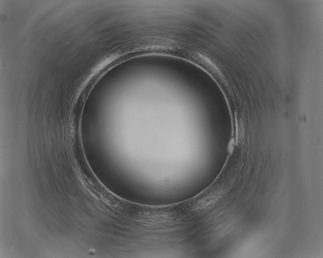 X0000063520435200601201437