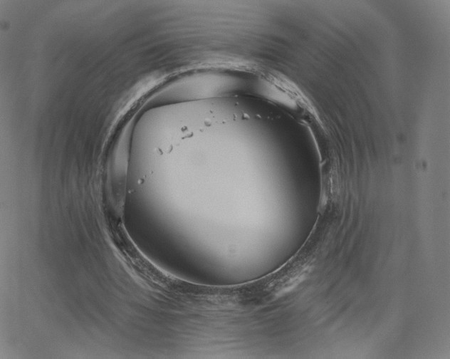 X0000063520436200601201437