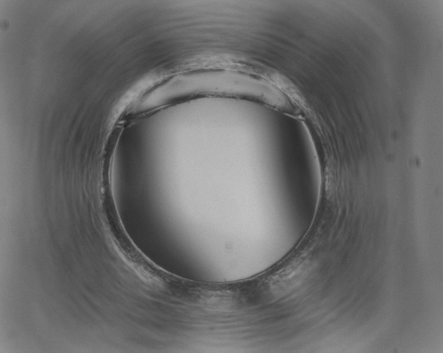 X0000063520438200601201437