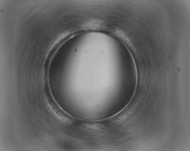 X0000063520439200601201437