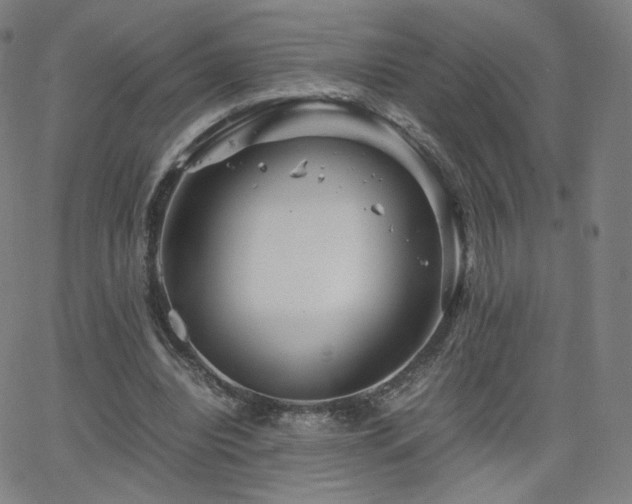 X0000063520440200601201437