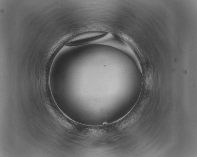 X0000063520442200601201437