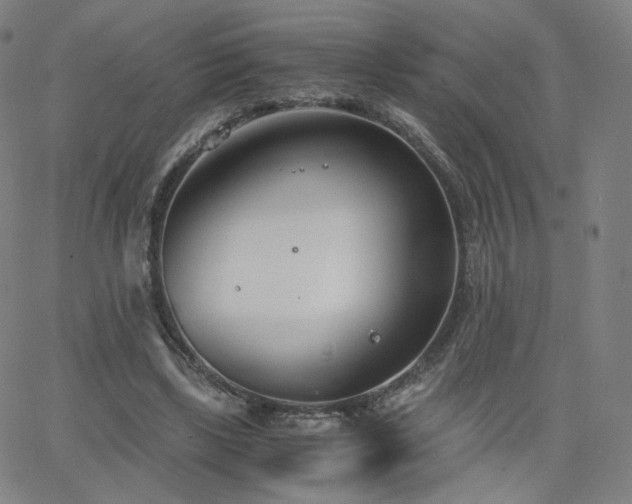 X0000063520443200601201437