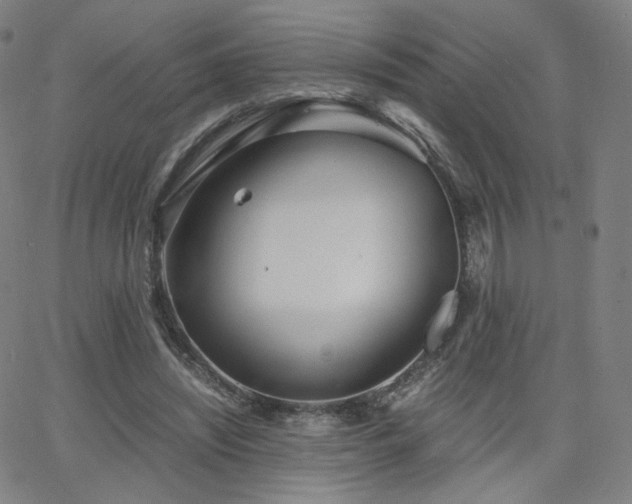 X0000063520444200601201437