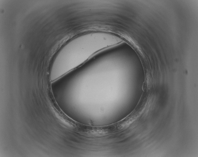 X0000063520445200601201437