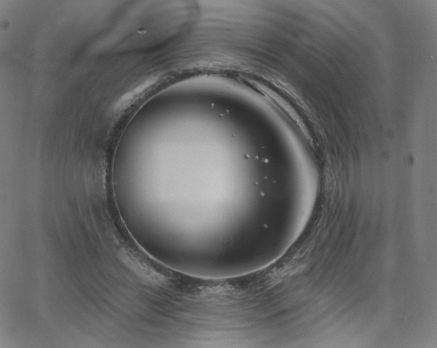 X0000063520446200601201437