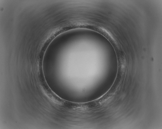 X0000063520447200601201437