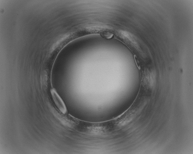 X0000063520448200601201437