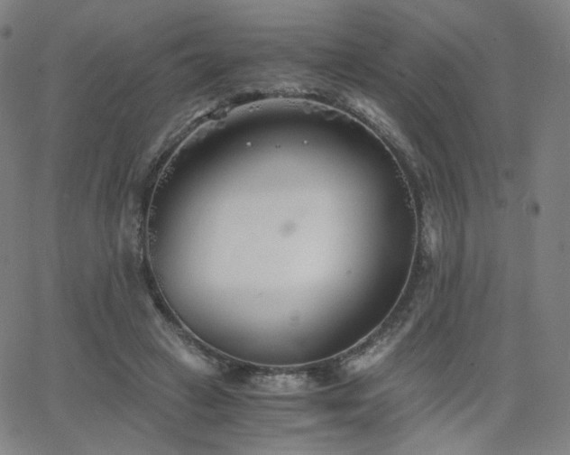 X0000063520449200601201437