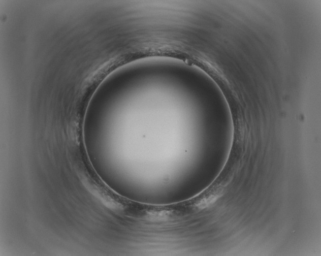 X0000063520450200601201437