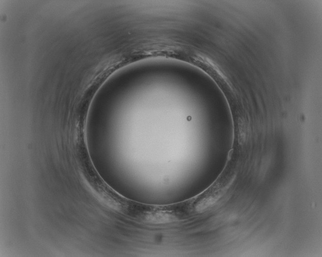 X0000063520451200601201437