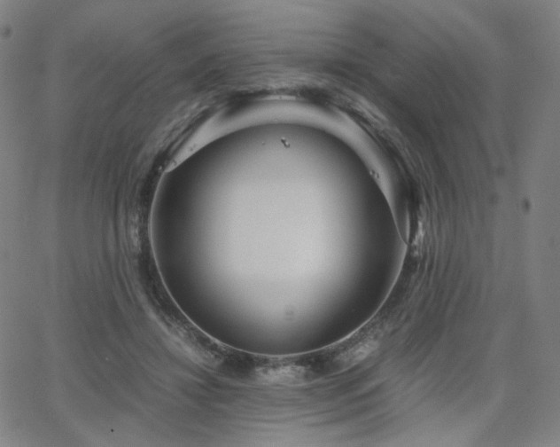 X0000063520452200601201437