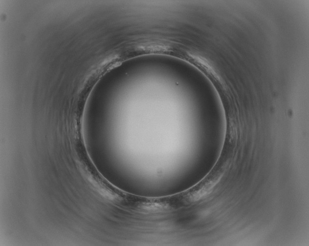 X0000063520453200601201437