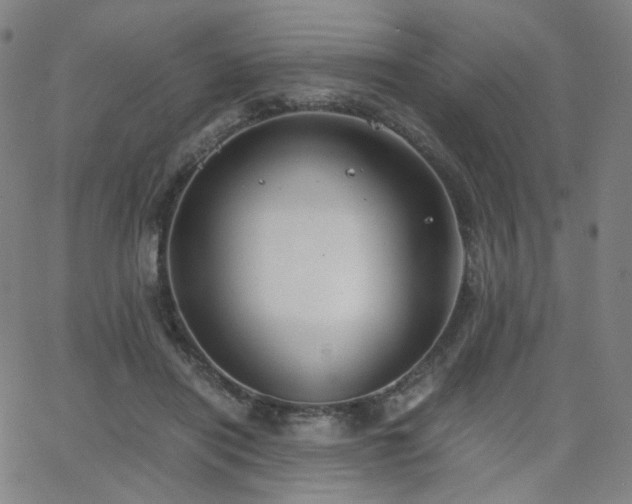 X0000063520454200601201437