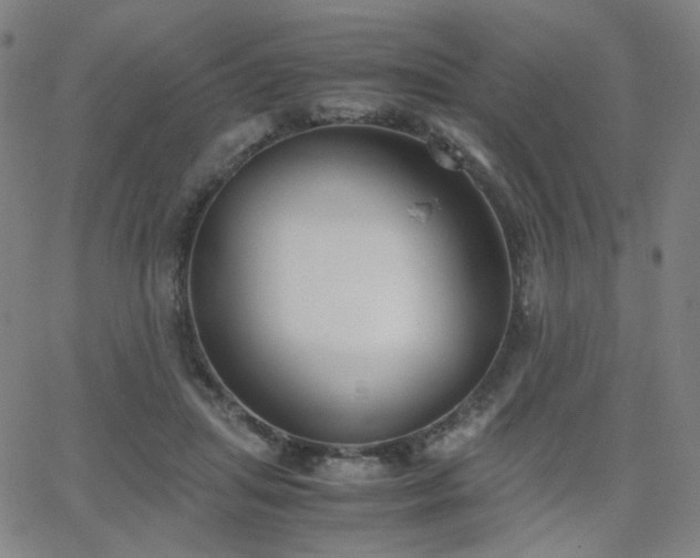 X0000063520455200601201437