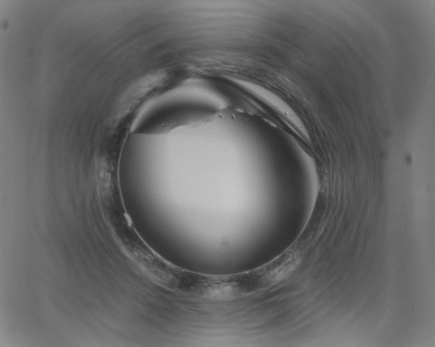 X0000063520456200601201437