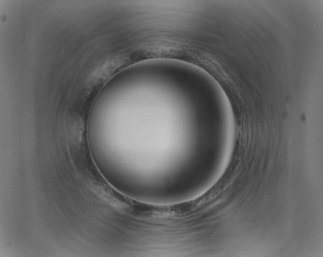 X0000063520458200601201437