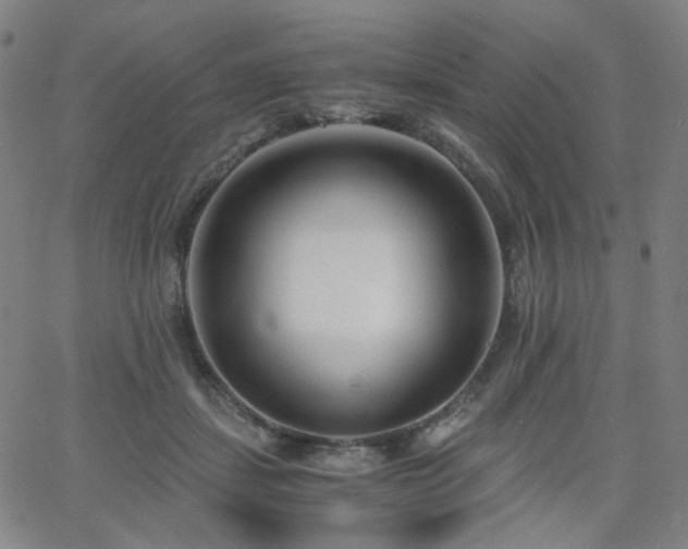 X0000063520459200601201437