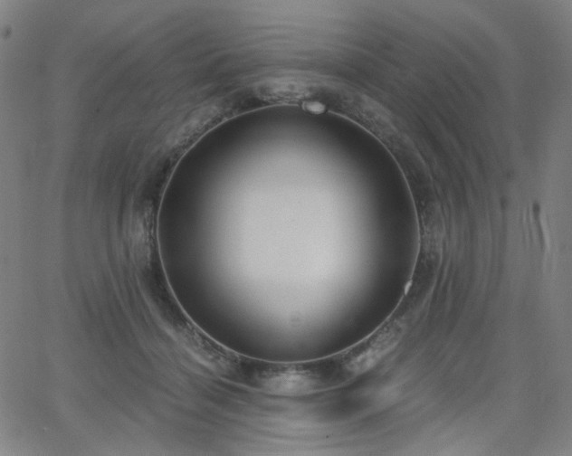 X0000063520460200601201437