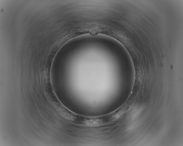 X0000063520461200601201437