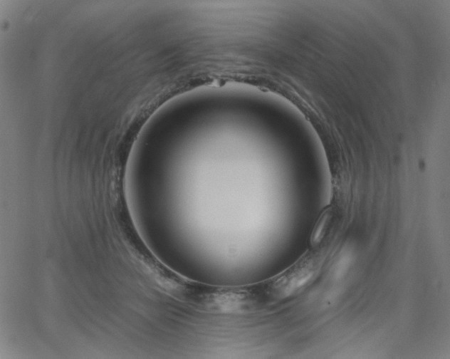 X0000063520462200601201437