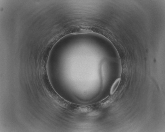 X0000063520464200601201437