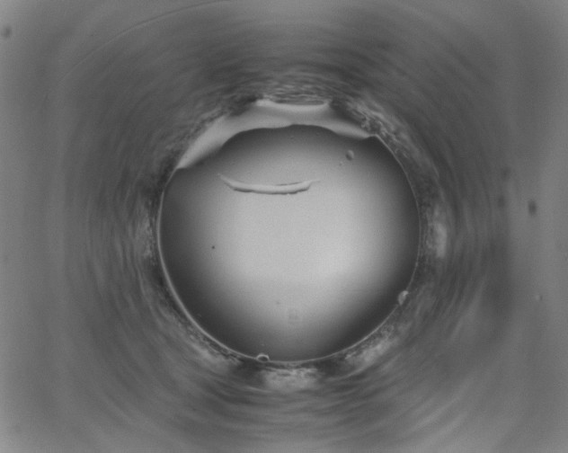 X0000063520465200601201437