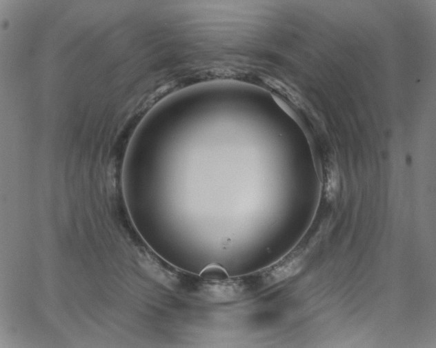 X0000063520466200601201437