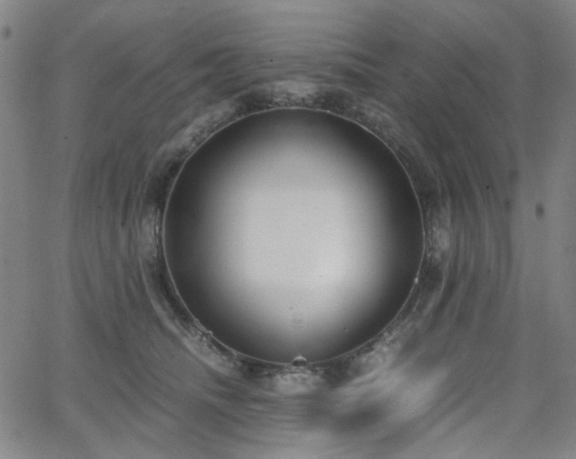 X0000063520468200601201437