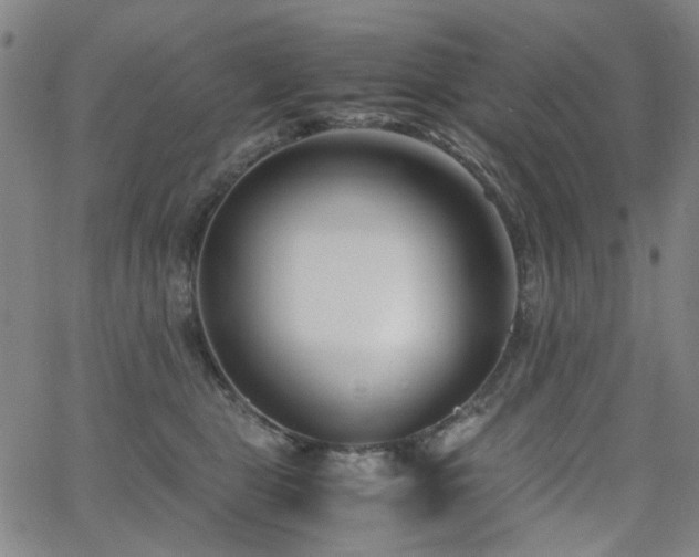 X0000063520469200601201437