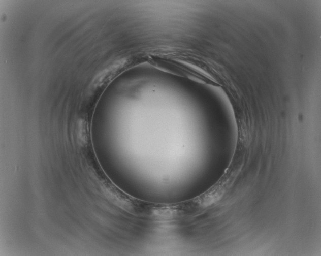 X0000063520470200601201437