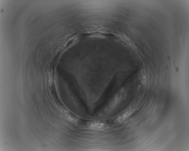 X0000063520471200601201437