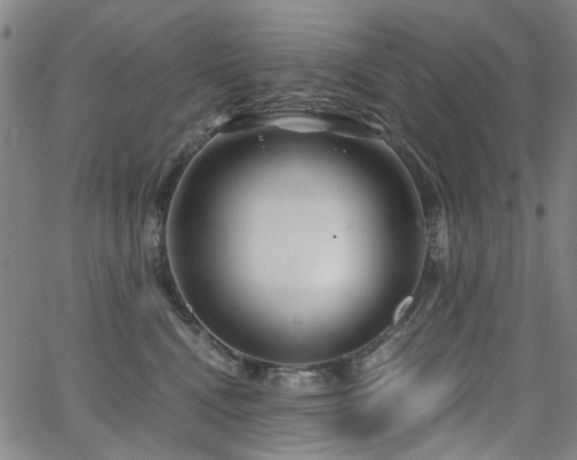 X0000063520472200601201437