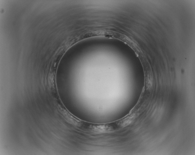 X0000063520473200601201437