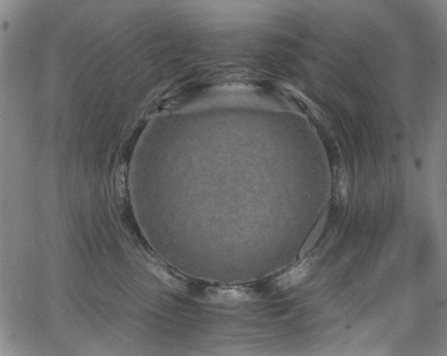 X0000063520475200601201437