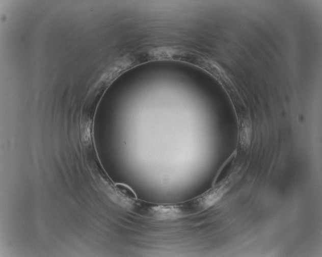 X0000063520477200601201437