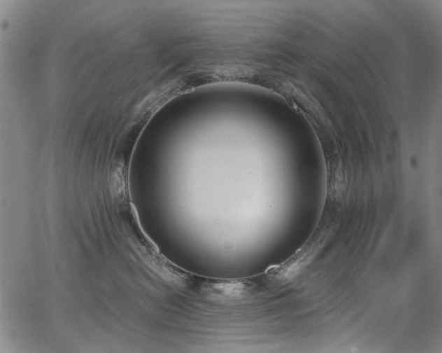 X0000063520478200601201437