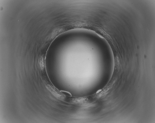 X0000063520479200601201437