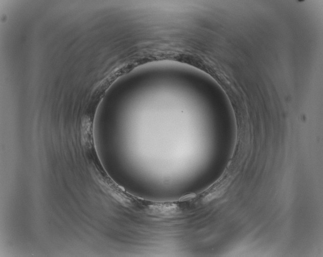 X0000063520480200601201437