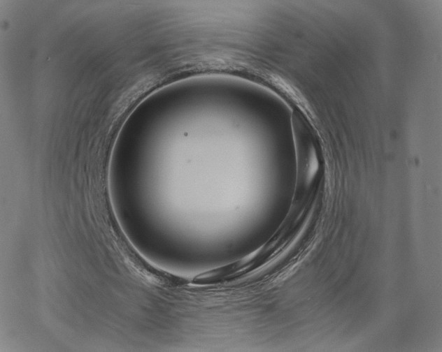 X0000063520481200601201437