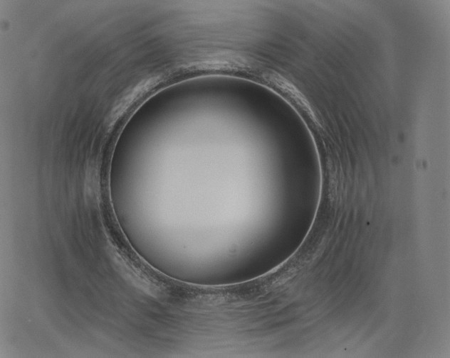 X0000063520482200601201437