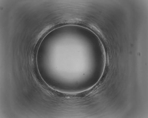 X0000063520483200601201437