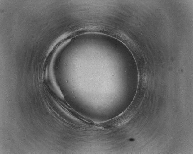 X0000063520484200601201437